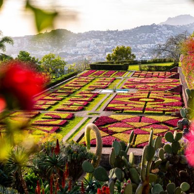 The Portuguese Island of Madeira, a Plant Lovers Paradise