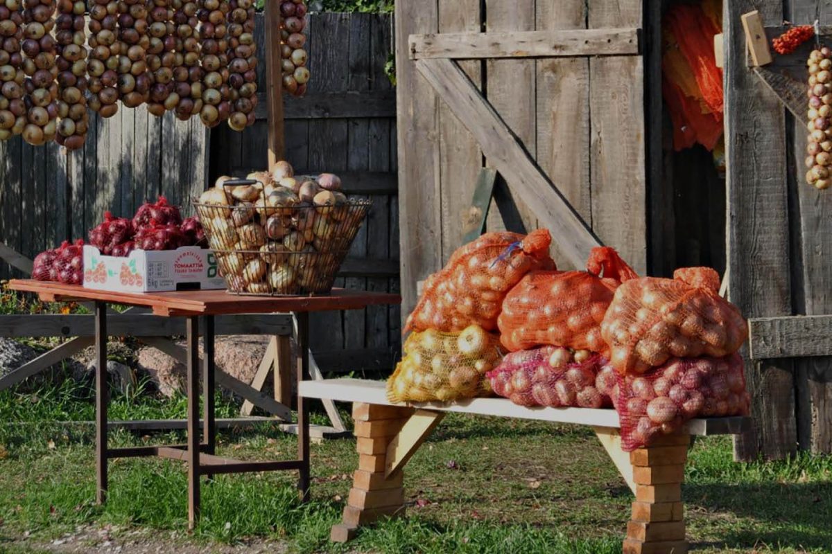 Estonia’s Onion Route and The Old Believers