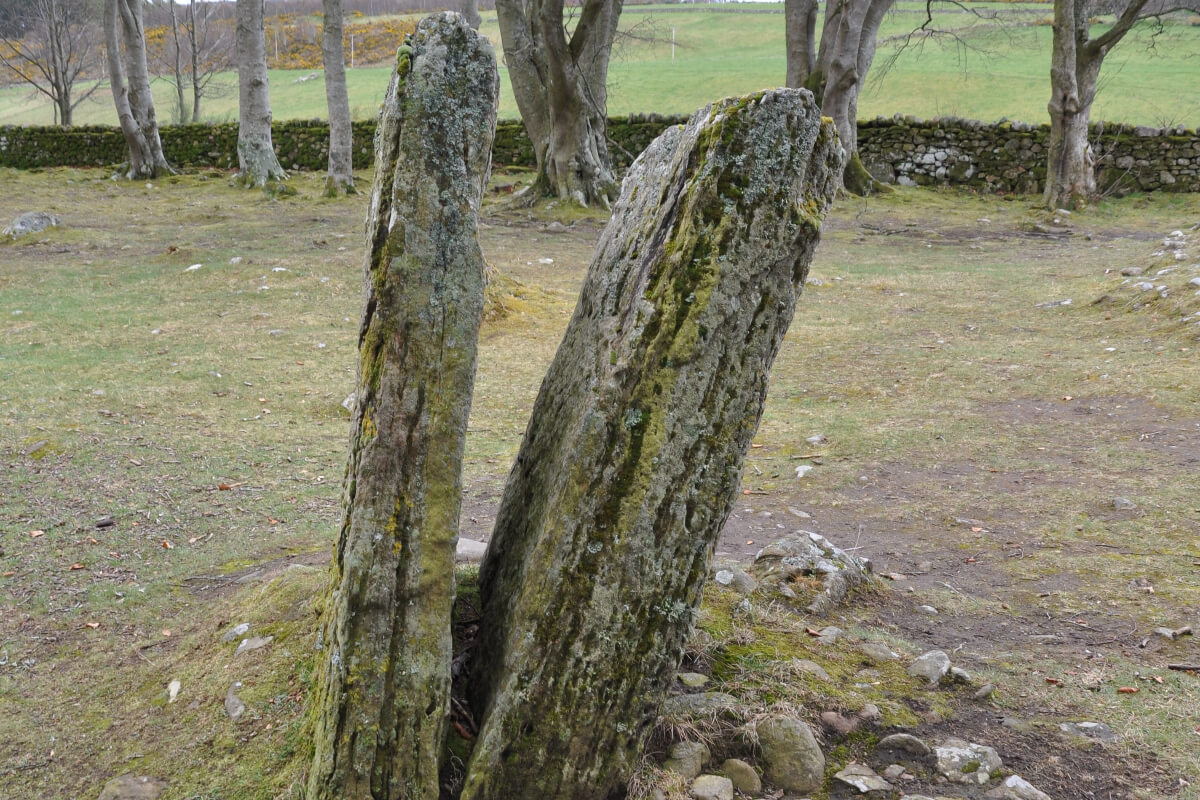 Views of some of the mysterious standing stones of Cairns