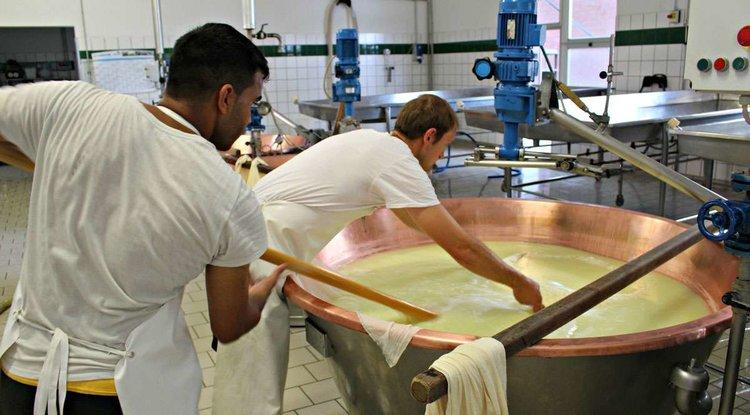 cheese-making process