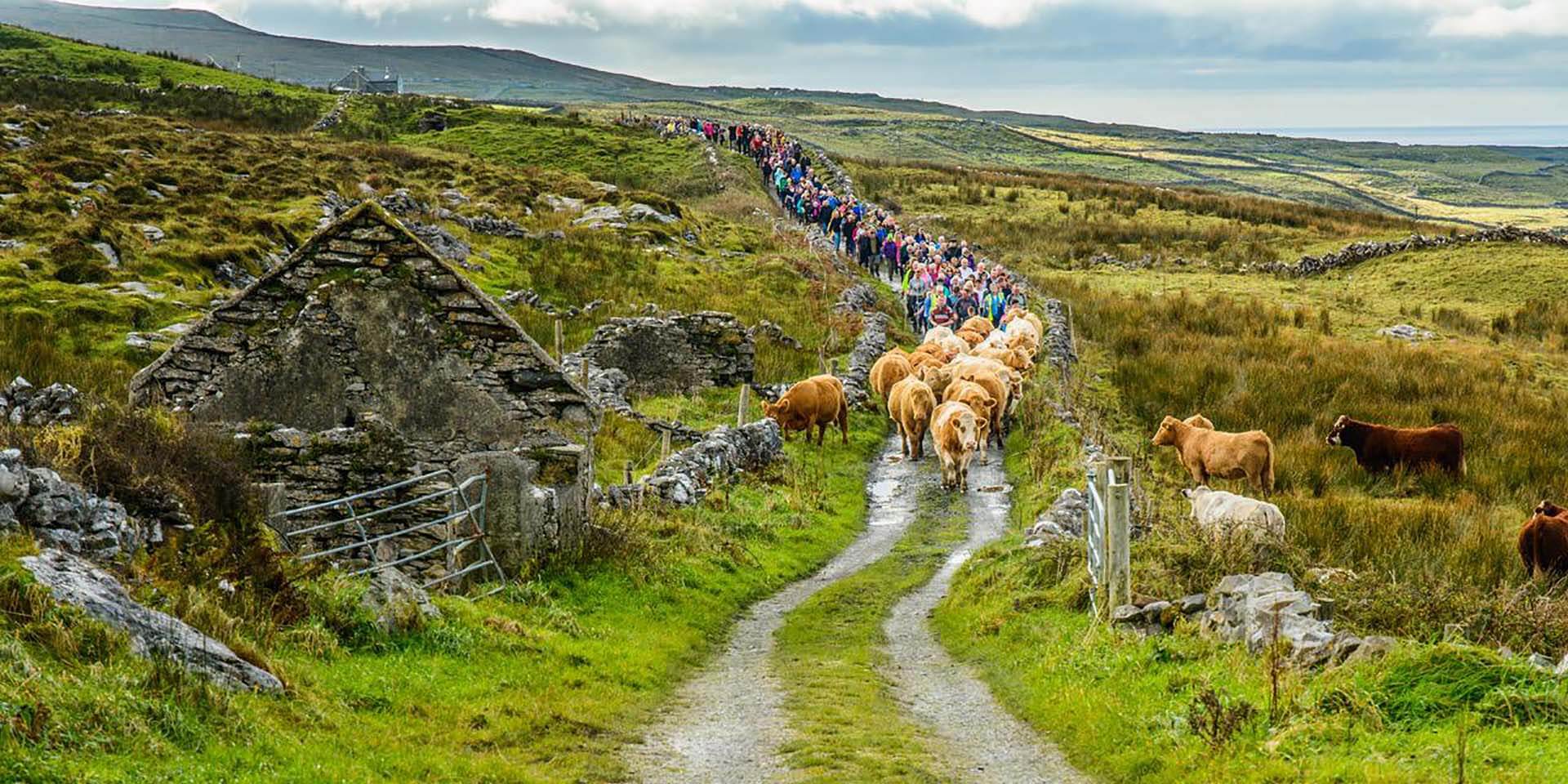 The Burren in Ireland