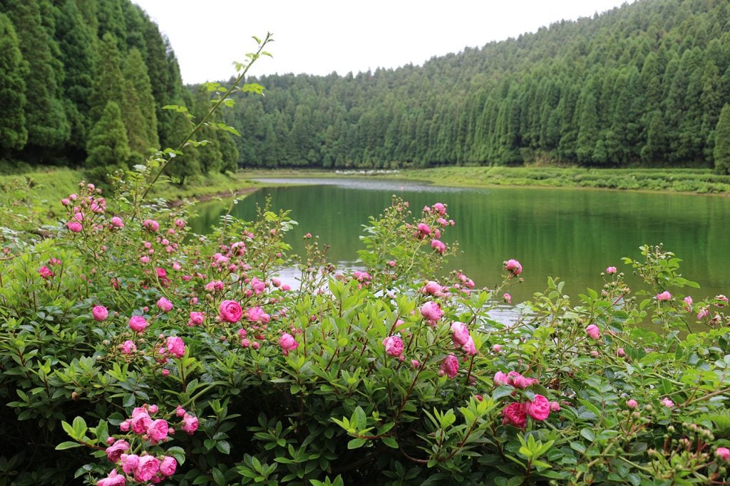 People of Portuguese Islands Share Their Heritage and Culture