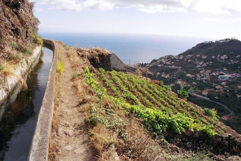 Levada Walks in Madeira